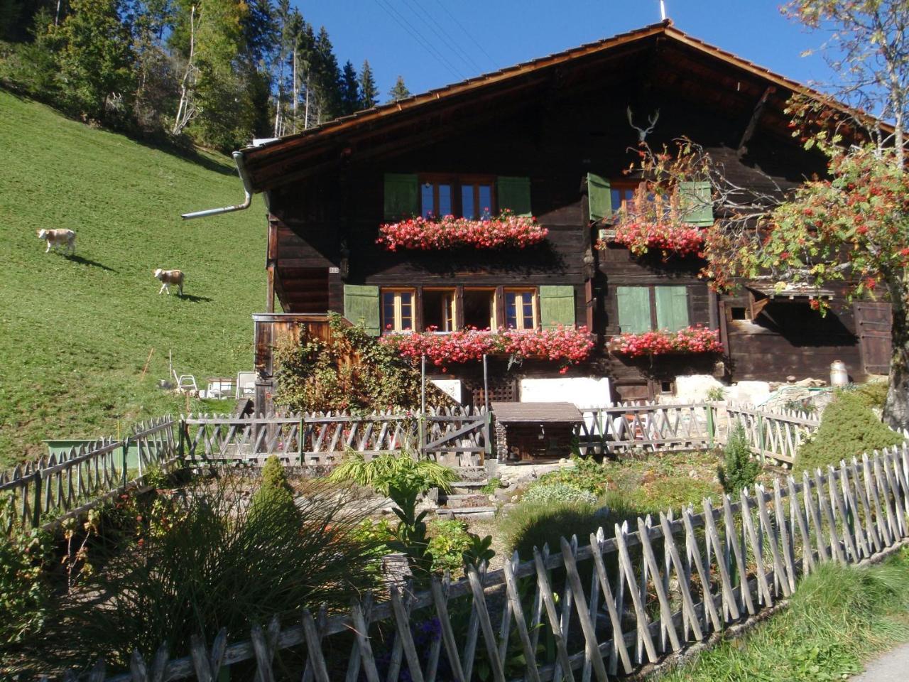 Appartment Andrea Adelboden Eksteriør billede