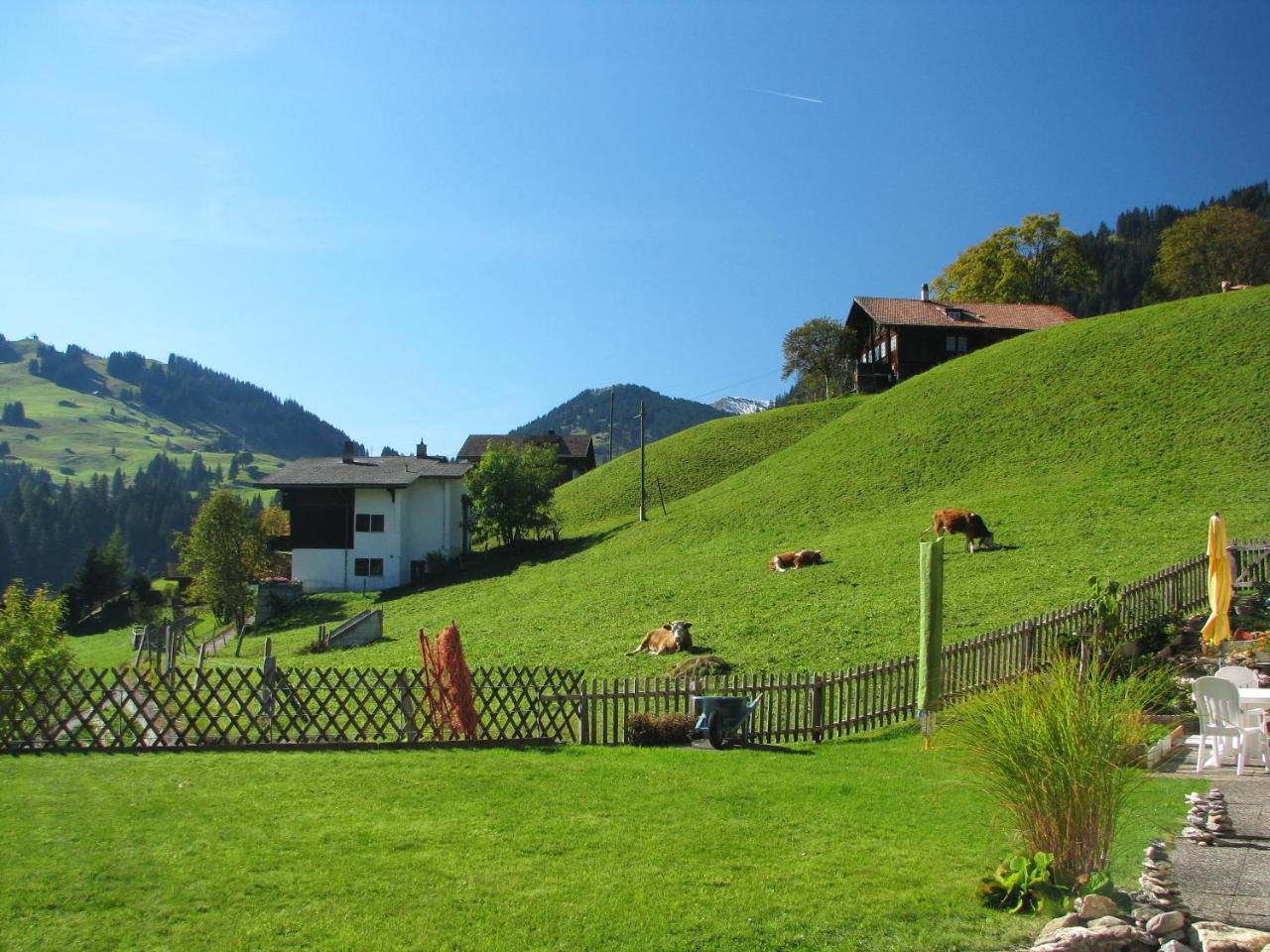 Appartment Andrea Adelboden Eksteriør billede